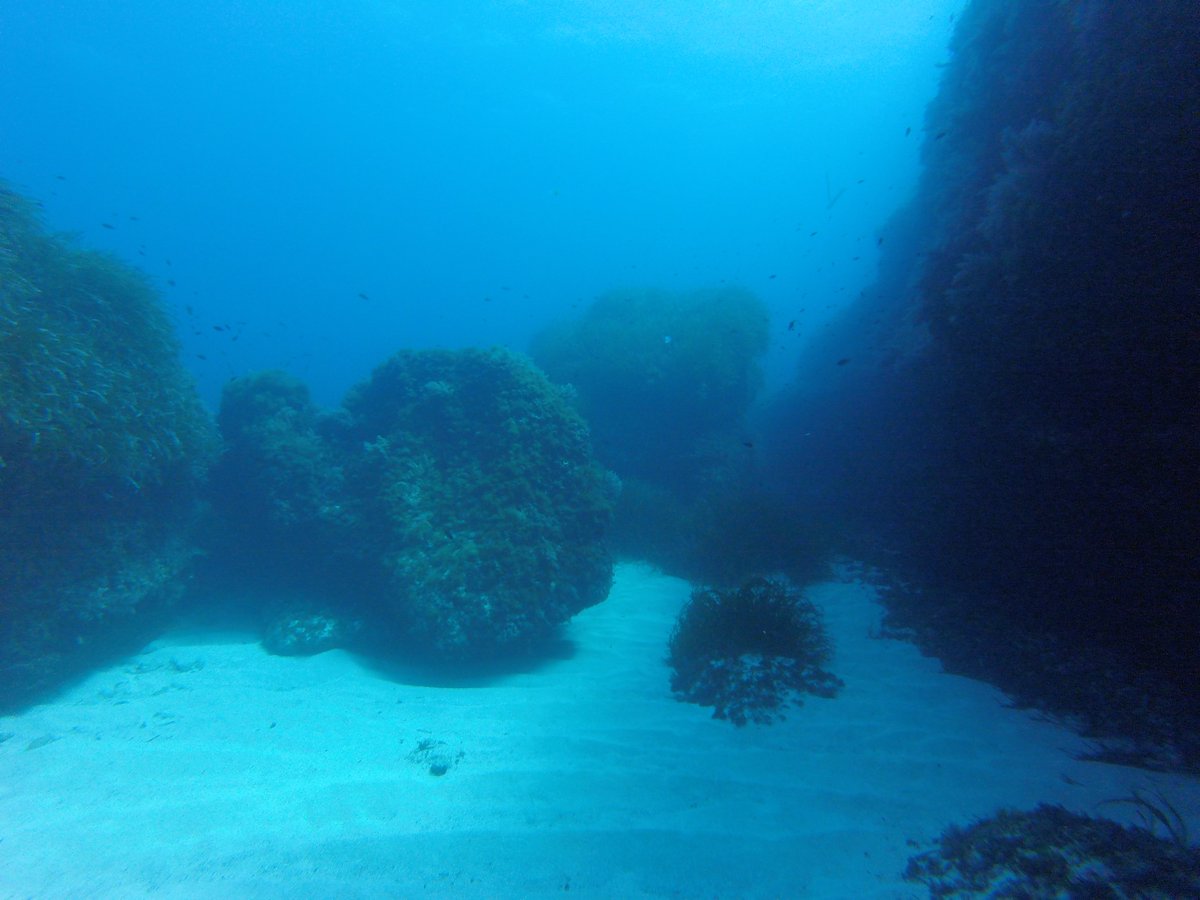 Guillemercal's tweet photo. Bona immersió amb @binibeca_diving. L'illade l'Aire amb els seus fons molt bonics i suaus, sempre ens sorpren. https://t.co/1yqmWwNQX8