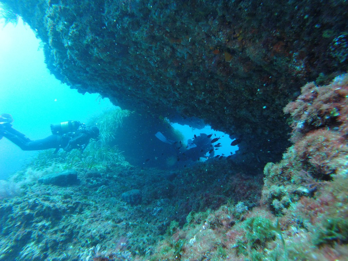 Guillemercal's tweet photo. Bona immersió amb @binibeca_diving. L'illade l'Aire amb els seus fons molt bonics i suaus, sempre ens sorpren. https://t.co/1yqmWwNQX8