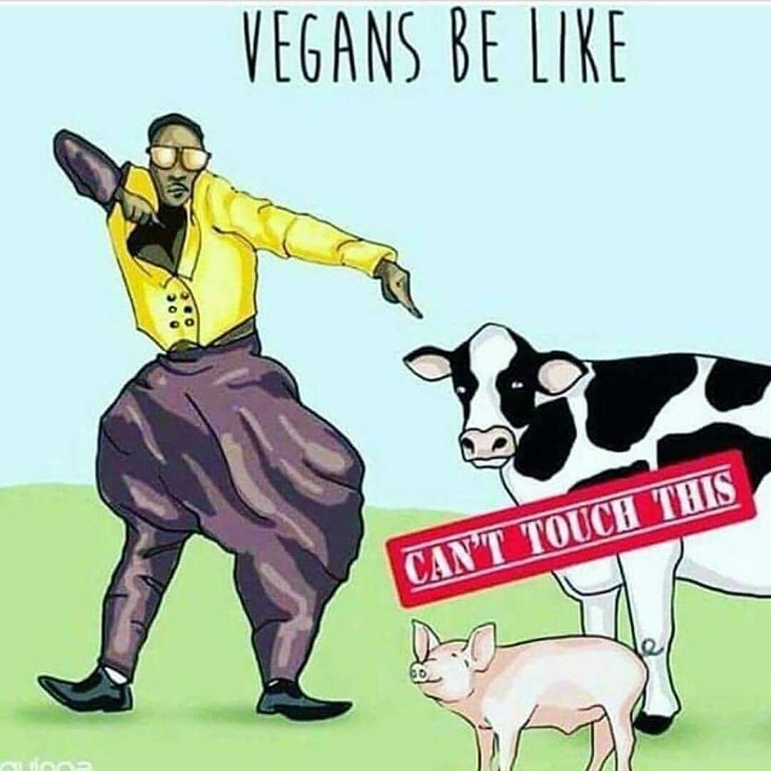 Nasimvegan's tweet photo. #Vegan #Govegan #Nasim #NasimAghdam #Meme #Memes https://t.co/KHSRtXeeNY