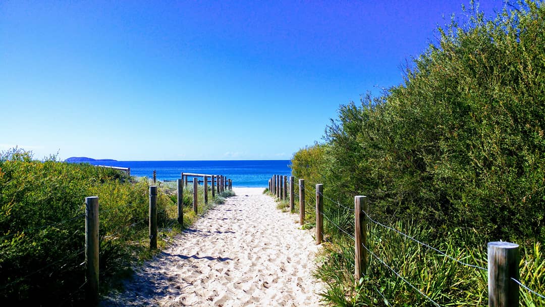 misswowwa's tweet photo. This is Box Beach. A small beach but so pretty! No amenities here but there's an easy access for car park (car park is 👍) the water is calm! #BoxBeach #NewSouthWales #Australia https://t.co/v1dea9ctU8