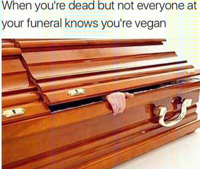 Nasimvegan's tweet photo. #Vegan #Govegan #Nasim #NasimAghdam #Meme #Memes https://t.co/Jqj6p2XXze