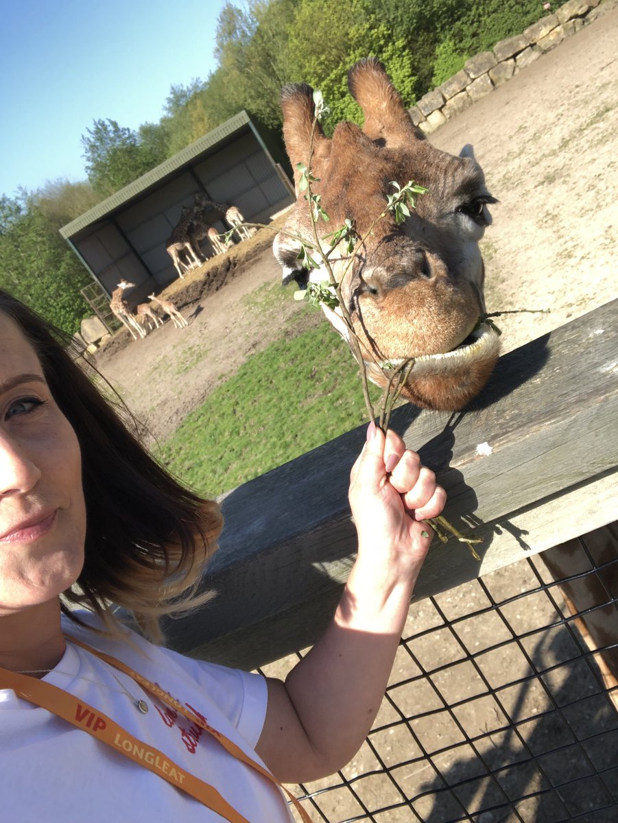shinydiscoball2's tweet photo. @Longleat Thanks to Lee and Tina for an amazing tour/experience feeding the giraffes this morning. Look at that face 😍 https://t.co/yAIQt2eZZE