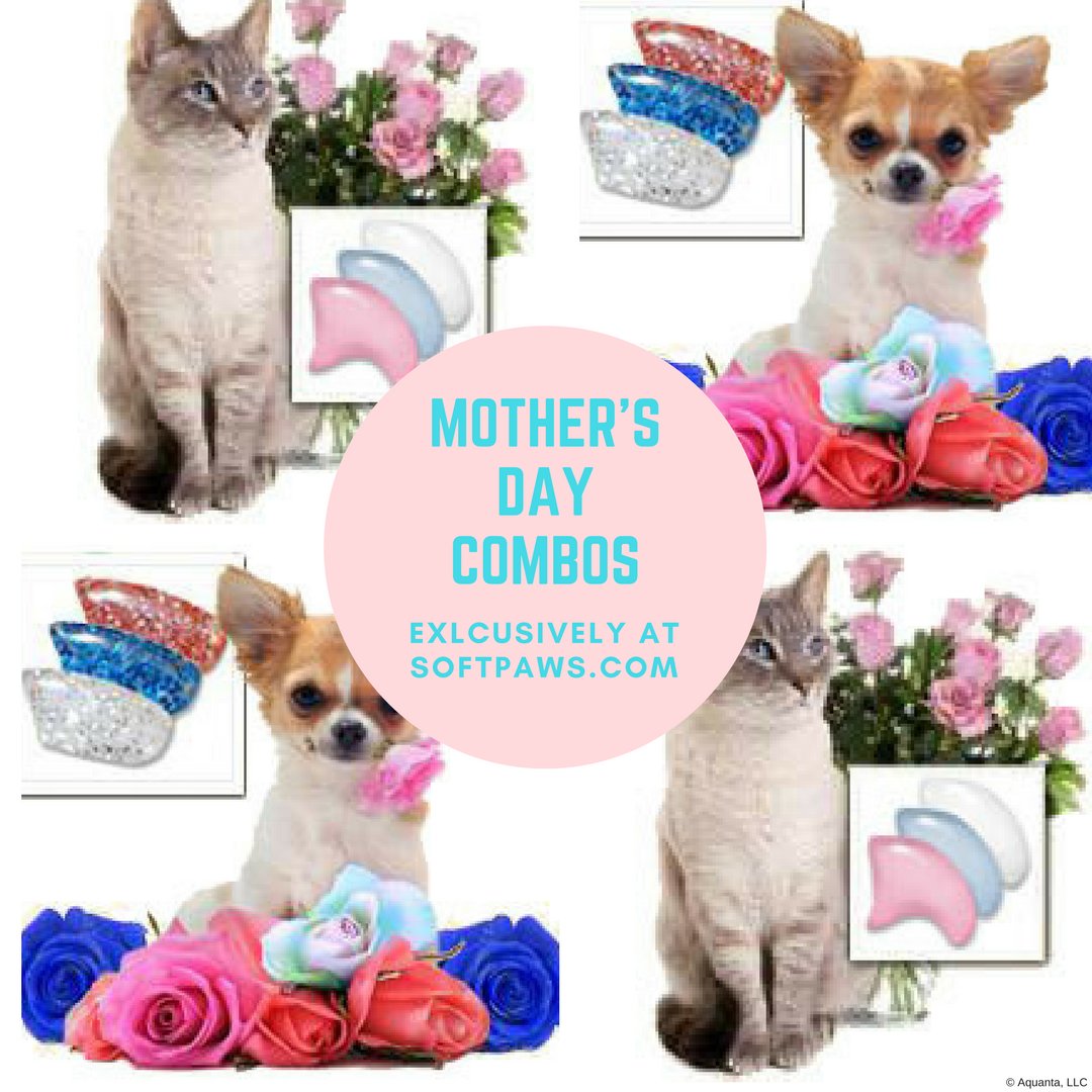 Soft_Paws's tweet photo. We have some lovely Mother's Day-inspired nail cap color combinations available: https://t.co/Ilb9c8xtYw #softpaws #MothersDay #nailcaps #kittycaps #pawcovers #softclaws #claws #catscratching #petstore #declawiing #declawingalternative #catsoftwitter #catmom #caturday #cats #cat https://t.co/N3tQDcwMq7