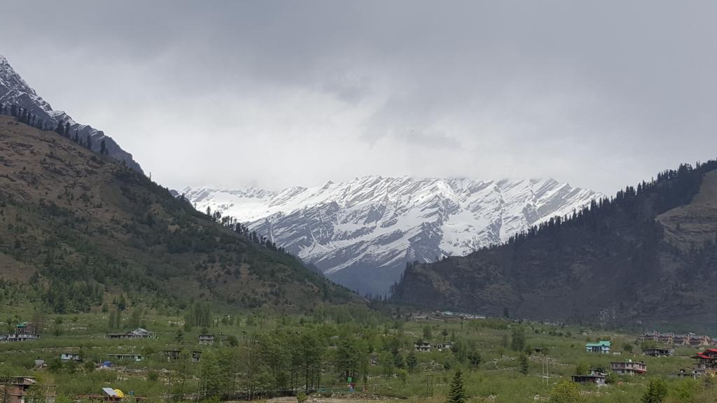 nvkaur22's tweet photo. Over every mountain there is a path, although it may not be seen from the valley...
#mountain #HimachalPradesh #travelling #amazingview #LoveNature #savenature #respectnature 😍 https://t.co/P89Fvtp71L