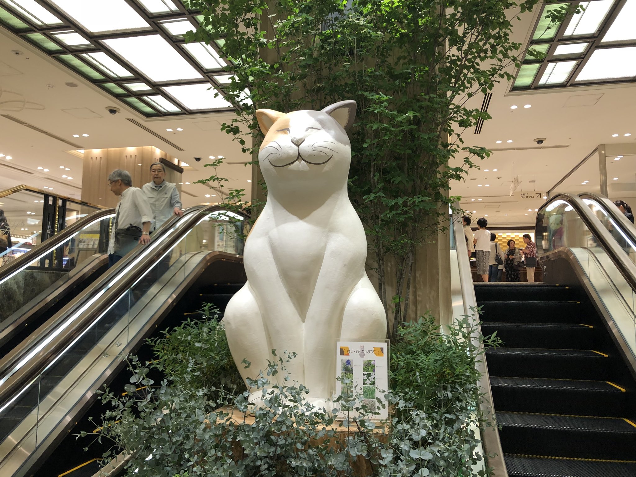 岩井勇気 ハライチ on Twitter