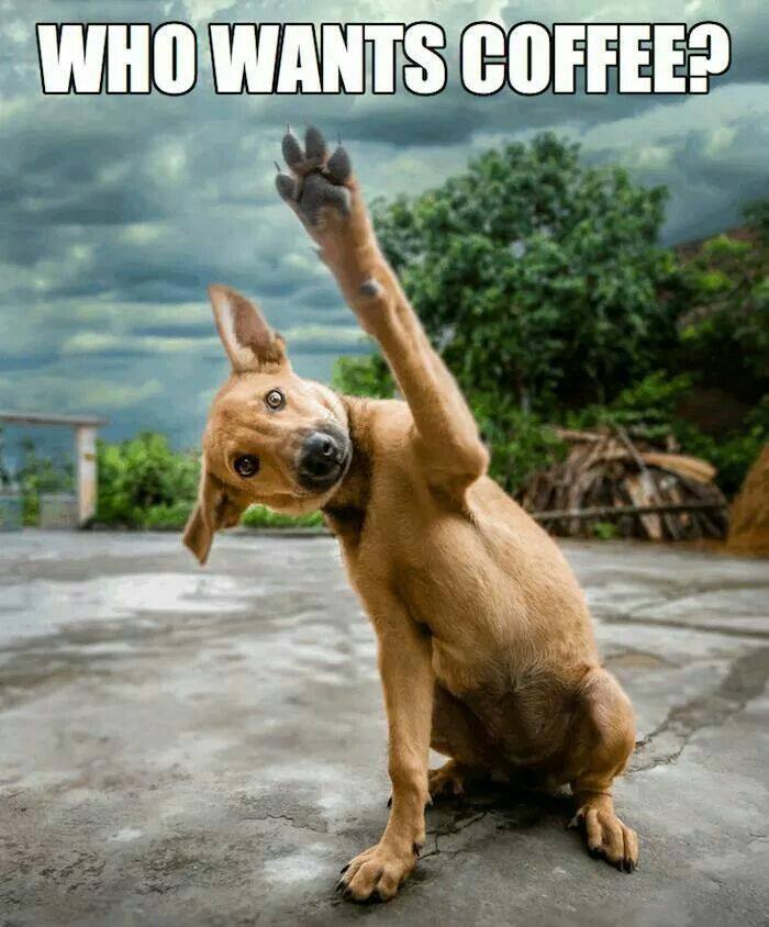 Carrie_D_Miller's tweet photo. #INeedCoffee #CoffeeToTheRescue #Coffeeeeeeeeeee https://t.co/aCxBUI7goF