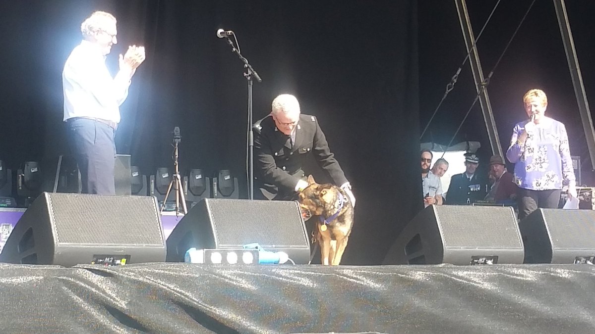 UWECopSoc's tweet photo. PD Finn receiving his #PDSAGoldMedal at @PDSAPetLife. #FinnDay #GoodBoy 👮🚔🐶🐾 https://t.co/vPVRXQffNh