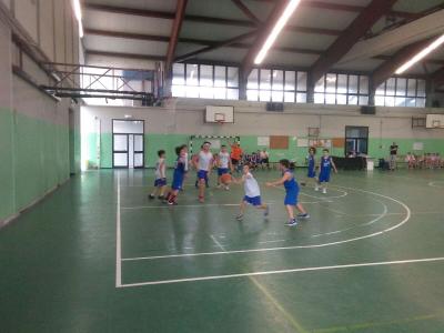 Campionato Esordienti : BASKET TEAM CREMA - PALLACANESTRO PIZZIGHETTONE 20-42 dlvr.it/QRxfgG