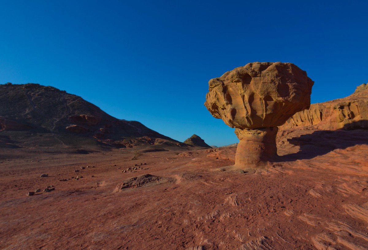 PedrottiBarbara's tweet photo. ..e a 30 km dall'arrivo si trova Timna Park 😍 Il magico connubio tra la tranquillità della natura e l'energia dello sport...anche questo è il #giro101 in Israle 😊 #visitisrael #citiesbreak @israeltourism https://t.co/Y10sLhYaTl