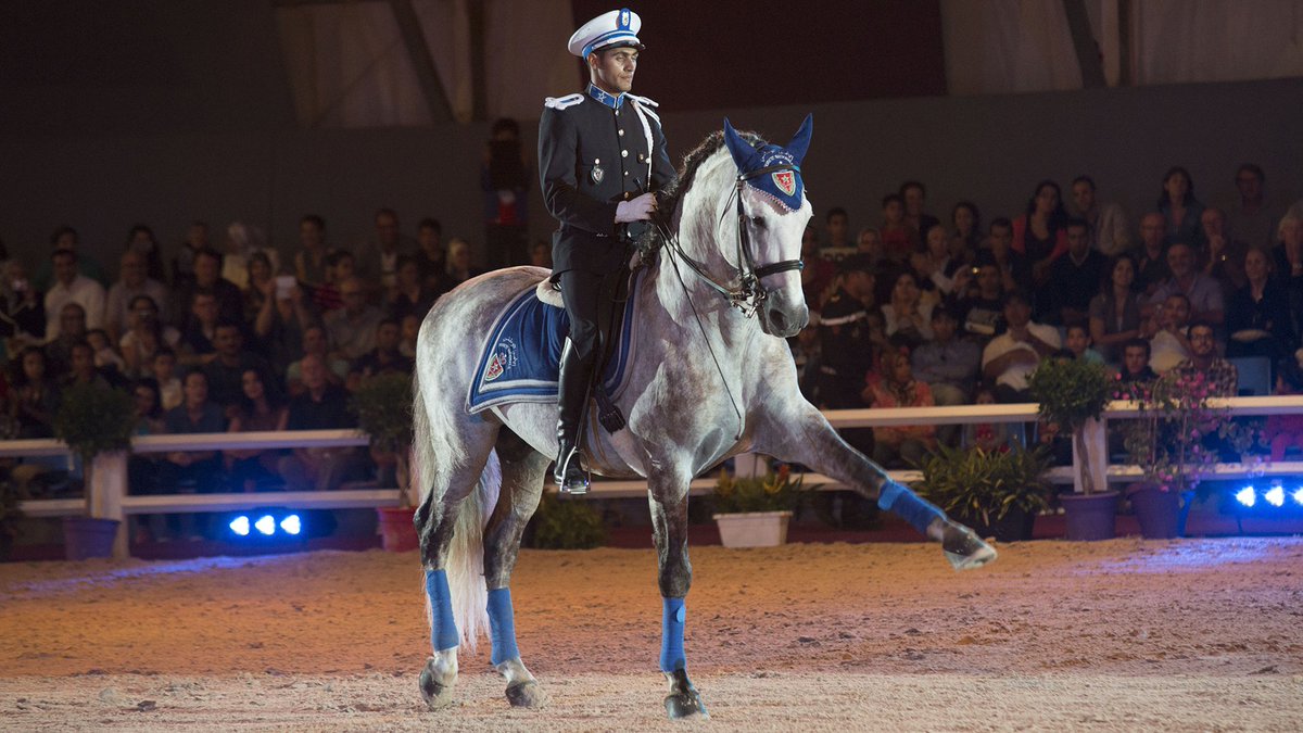 Morocco 2026 Auf Twitter Lesaviezvous Le Salon Du Cheval D