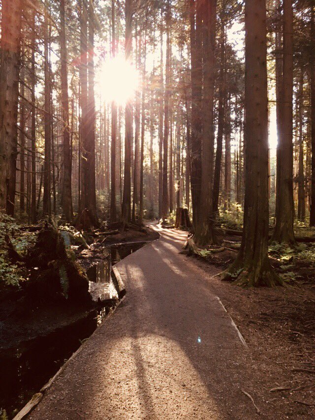 Sunday Morning Running - #BeautyOfCreation