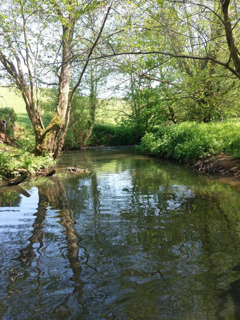 Neil Keep FlyFishing tweet media