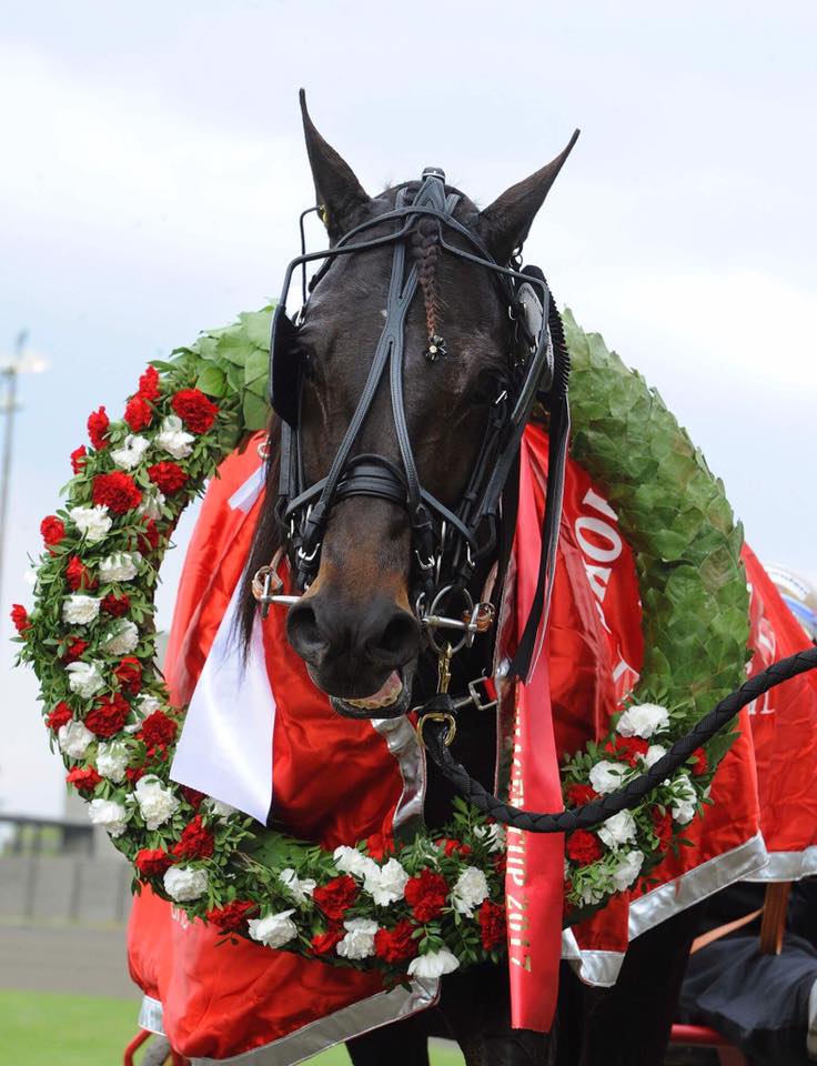Joe_Zagari's tweet photo. #CopenhagenCup 🇩🇰 #Group 1⃣ #UetMastersSeries
🏁Starting List
1⃣🇩🇪#CashHanover
2⃣🇩🇰#Takethem
3⃣🇳🇴#FerrariBR
4⃣🇸🇪#CyberLane
5⃣🇳🇱#GeneraalBianco
6⃣🇺🇸#CruzadoDelaNoche
7⃣🇮🇹#Romanesque
8⃣🇩🇰#TripoliniVP
9⃣🇸🇪#MindyourvalueWF
🔟🇮🇹#TotoodelRonco https://t.co/uNJn7PV0Cd
