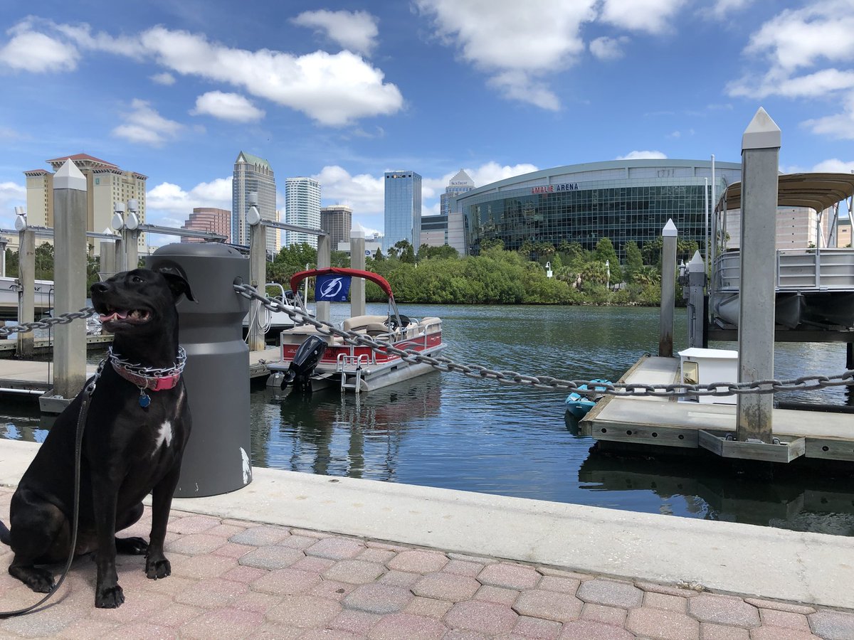 WFLAJosh's tweet photo. CLOSING TIME, BOLTS! Savannah is giving the #TBBolts some good luck. Puck drops at 3PM at @AmalieArena. @WFLA #BostonBruins #GoBolts #Tampa https://t.co/VaoyOQnIjV