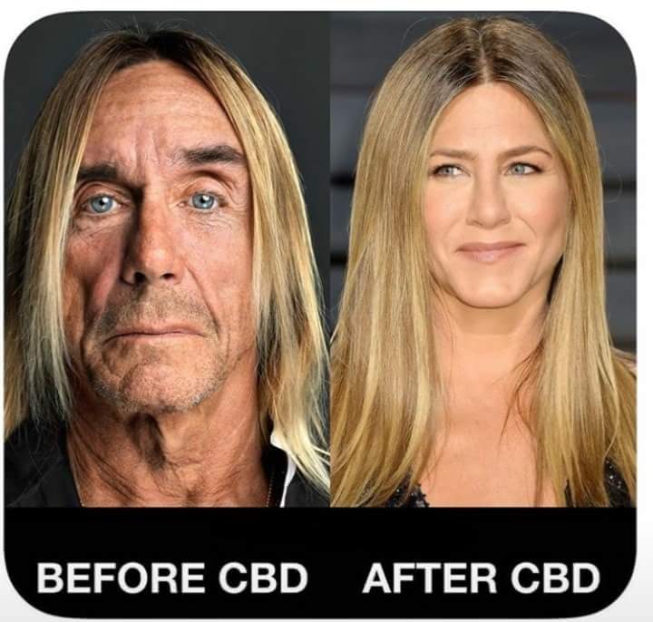 I mean it makes sense right? Check,it out hempforpresident.com👏👏 but seriously Jennifer Aniston has come,out saying she uses CBD to control pain and anxiety #cbdeducationatitsbest