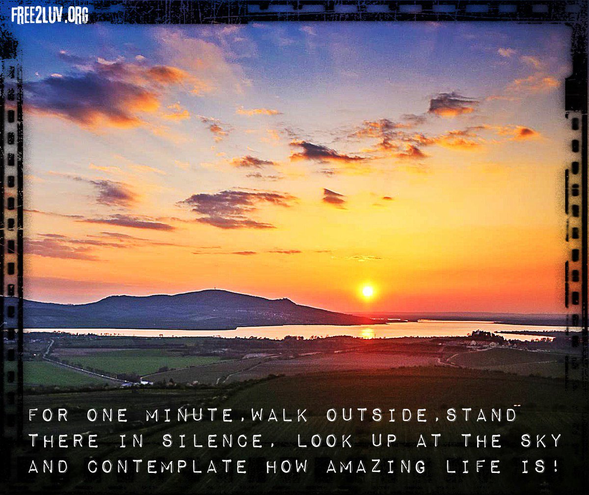 FREE2LUV® ❤️ tweet media