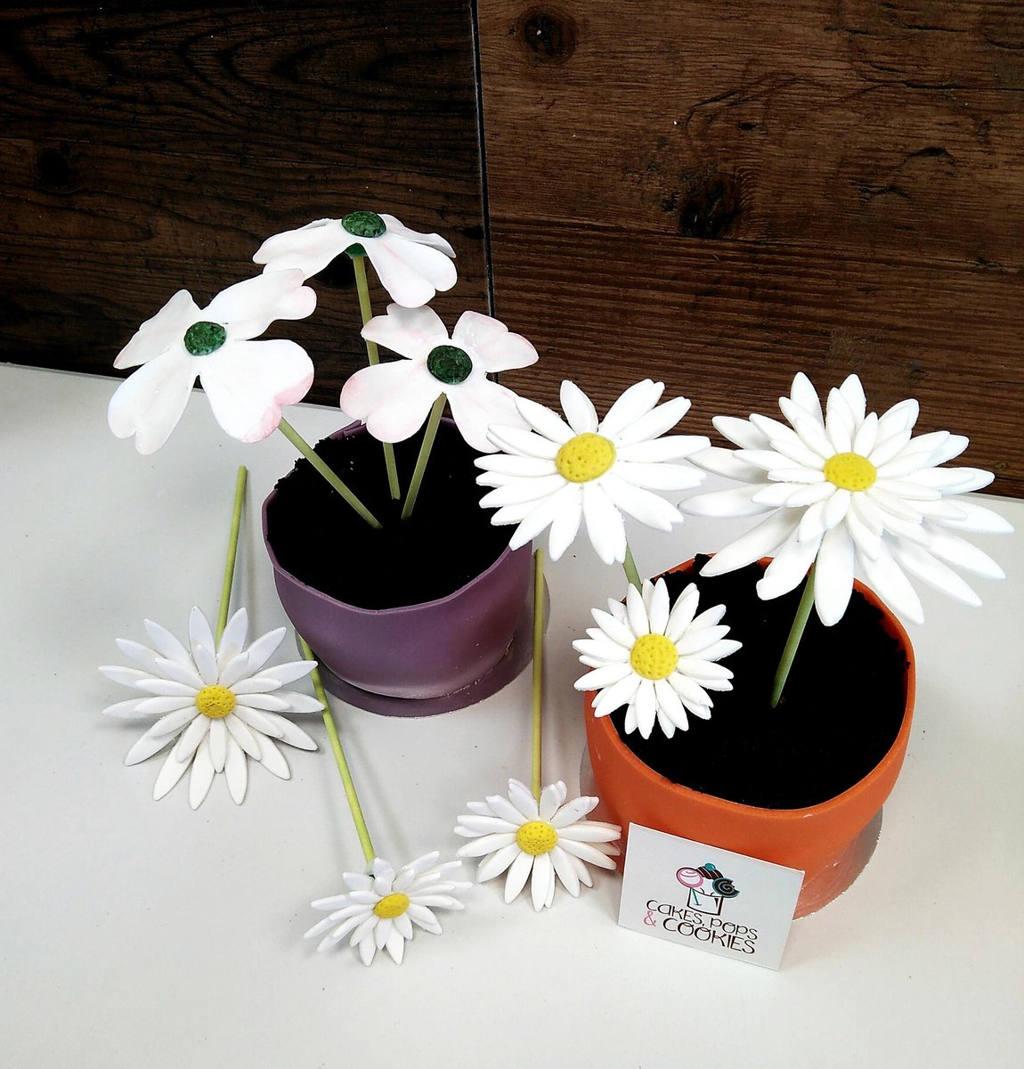 CakesPopsCookie's tweet photo. Feliz día a las mamis españolas! Lo celebramos con estas tartas floreadas 😆😄#flowerpotcake #daisies #mothersday https://t.co/2VLHLvjA9H