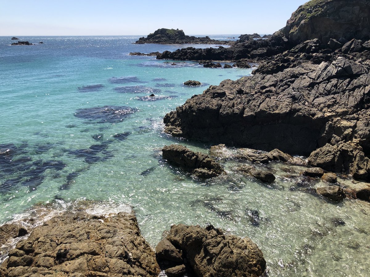 Une pause sur la pointe du Finistère ❤️ #Ouessant #Melon #Lanildut #Porspoder