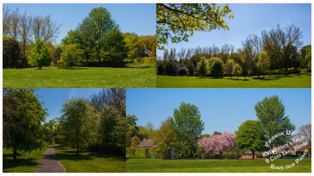vinrc's tweet photo. Beautiful sunny day in KGV Brown's field. We cannot afford to lose this lovely community park to more concrete &amp; houses. Parks may not be 'essential service' but doesnt mean that they are optional @SaveKGVPrescot #KidsNeedParks #MentalHealthMatters #SaveOurGreenSpace #SaveOurPark https://t.co/kc3YSiFsRq