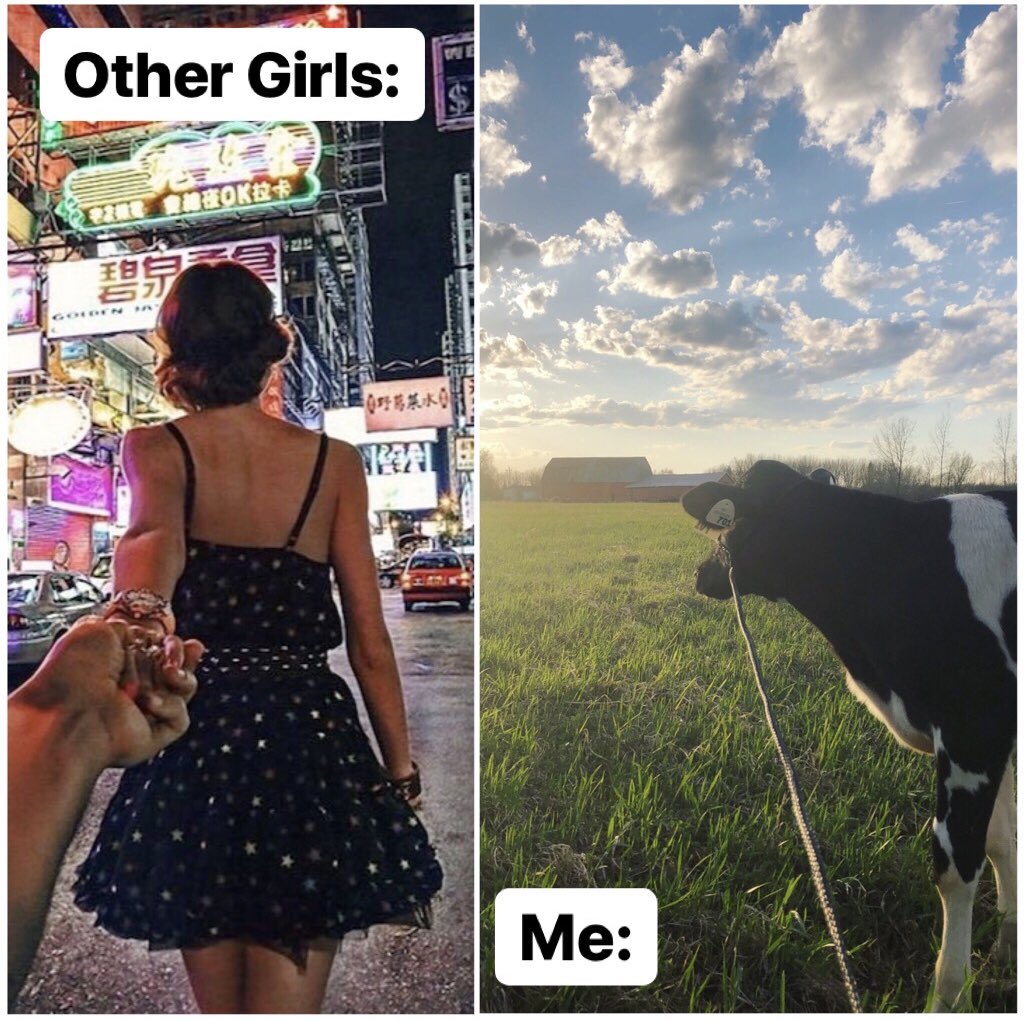 RuralDivide's tweet photo. And I wouldn’t change it for the world 🌱☀️🐮💕 #unapologetic #farmgirl #countrygirl https://t.co/2zioHZDYt6