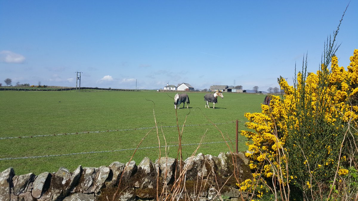 TaysideBelles's tweet photo. Lovely wee ride up Carrot Hill.  Fantastic sunny day too. https://t.co/ZfX64KO7qK