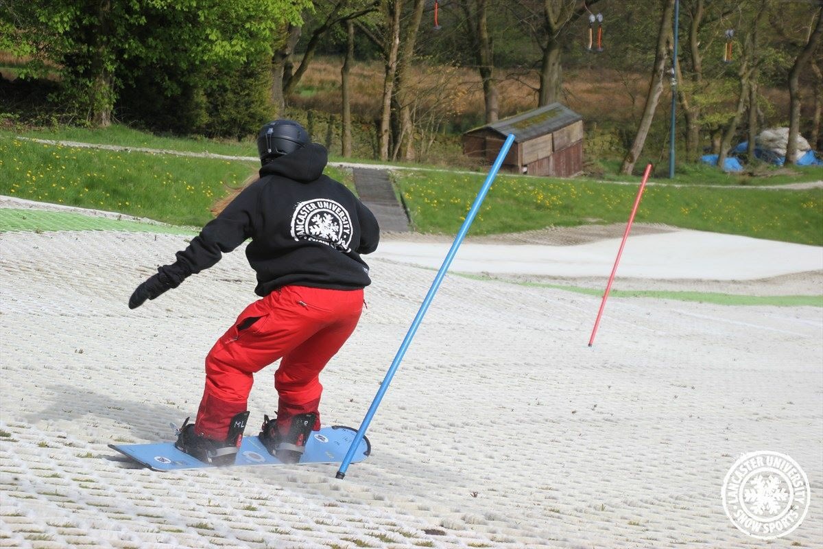 🌹 R O S E S  A R E  R E D 🌹