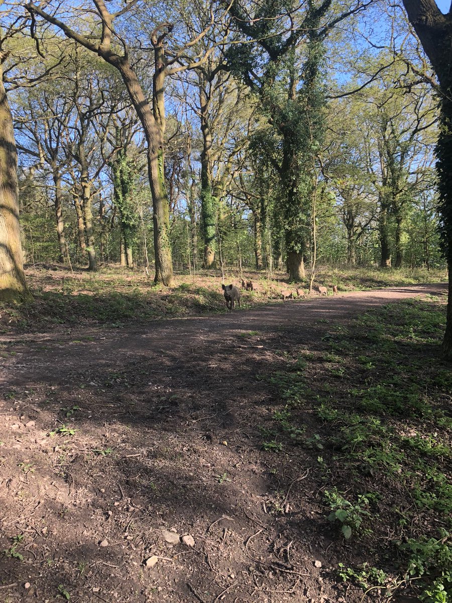 Ben Hill tweet media