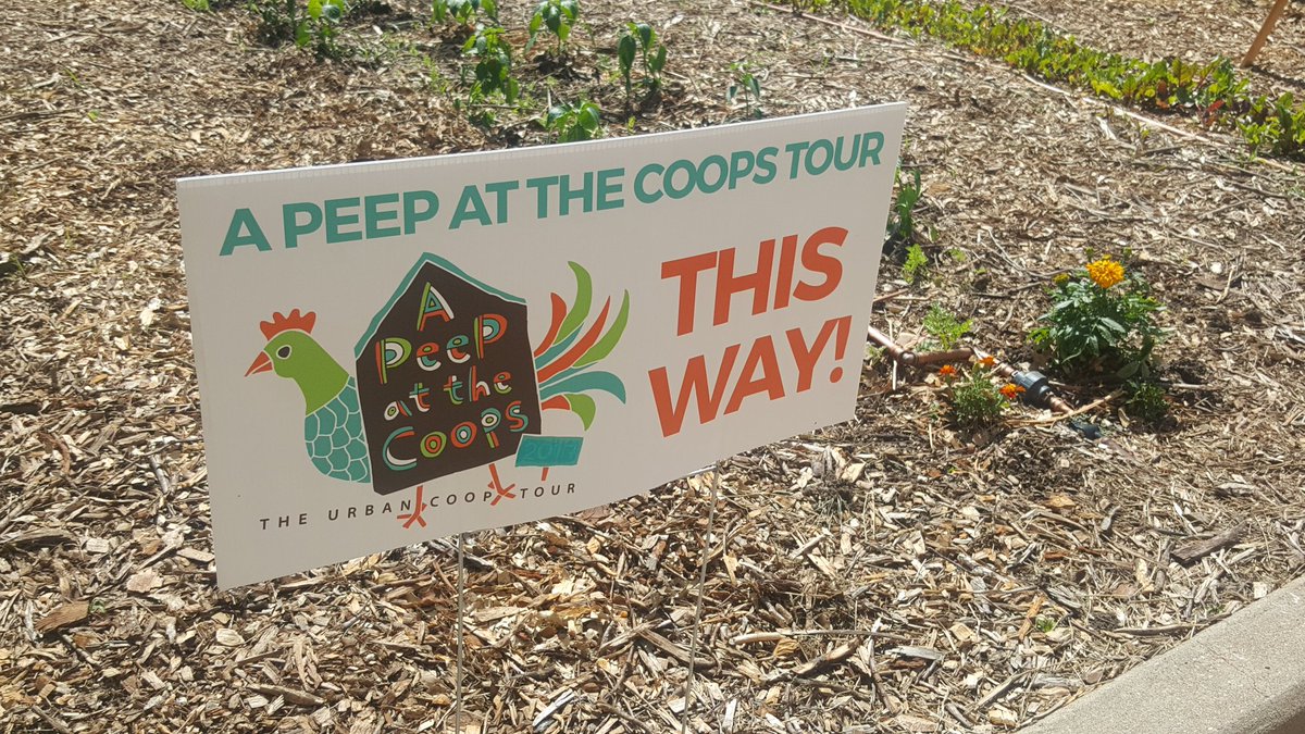 SMUCommunity tweet media