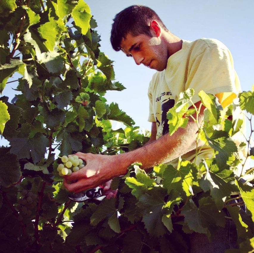 RT <a href="/BenvingutsPages/">Benvinguts a Pagès</a>: #Sabiesque a la #TerraAlta  descobriràs com treballen a..🍈<a href="/caseres84/">Marc Boldo</a>, on conreen oliveres i ametllers
🍷Celler Arrufí
🍷Celler La Botera 
🍷<a href="/santjosepwines/">Sant Josep Vins</a>
🍷<a href="/cellerclua/">Celler Clua</a>
🍈 <a href="/IdentitatEVOO/">Identitat EVOO</a>
👨‍🌾 Mas Beturià
👨‍🌾 <a href="/riusdor/">Rius d'Or</a>
<a href="/doterraalta/">CRDO Terra Alta</a>