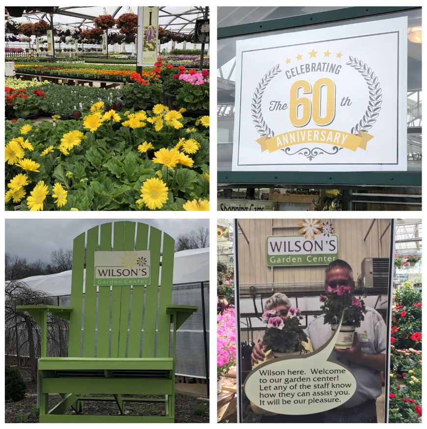 Masternurserygardencenters Hashtag On Twitter