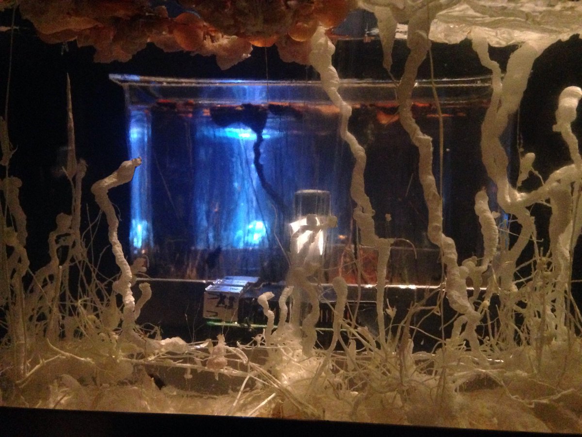 roiiroiiro's tweet image. Assonance of Drops exhibition where there are presented two works: #TimeDisplacement and #DarkDrops is now on at #esc medien kust labor in #Graz till 29 of June ... thank you a lot @reni_tentia for invite and great hospitality!! #http://esc.mur.at/de/projekt/assonance-drops