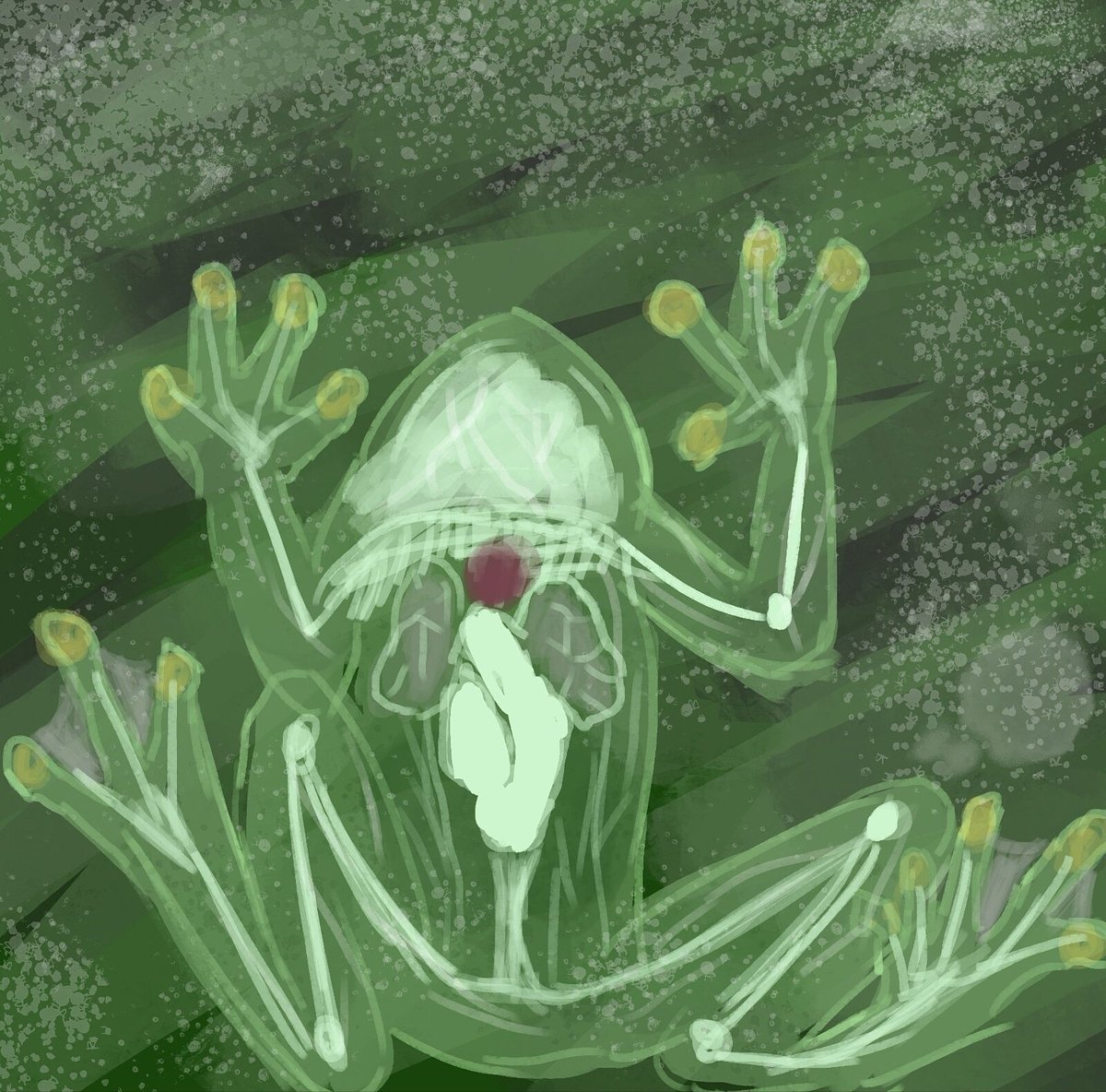 LowpolyLili's tweet image. 'glass body' speedpaint done under 30 minutes of a see through frog as a daily challenge. #speedpaint #frog #glassbody #dailyspitpaint #practice #dailyupload #challenge #dailychallenge #digitalart