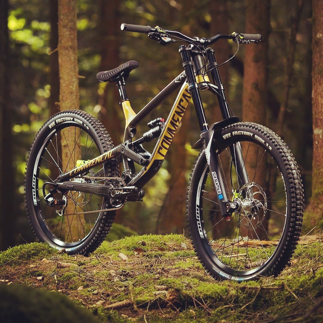 Scott Gambler 2019