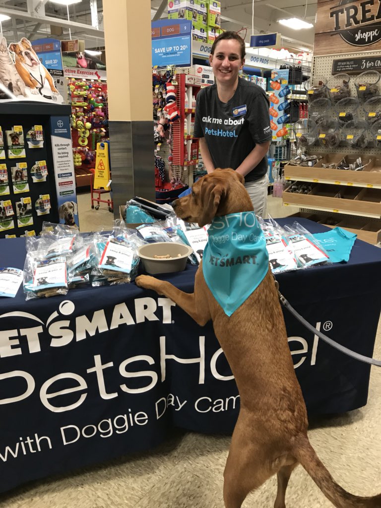Framingham Petsmart tweet media