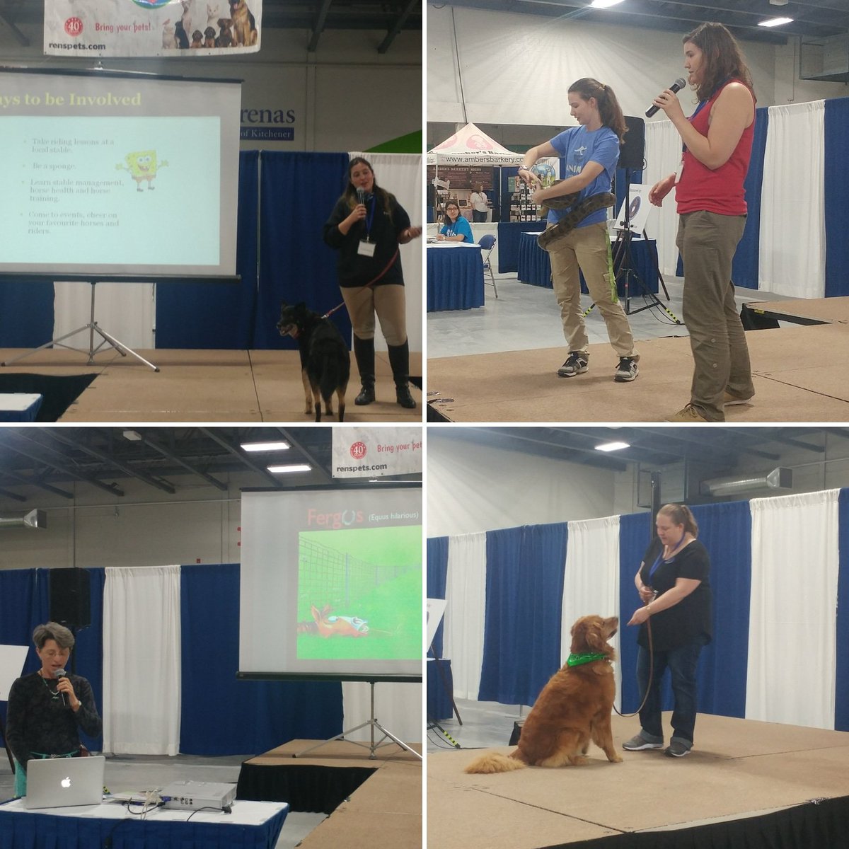 KWPetExpo's tweet image. We have had some great presentations at the Ren&apos;s Theater this weekend. From dog training tips to how to get involved in Ontario&apos;s horse world and even knowledge on exotic animals! #kwpetexpo #animalpresentation #animallearning