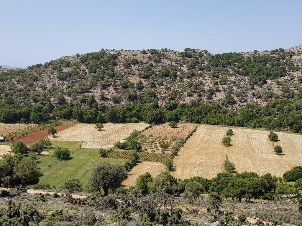 Agripath tweet media