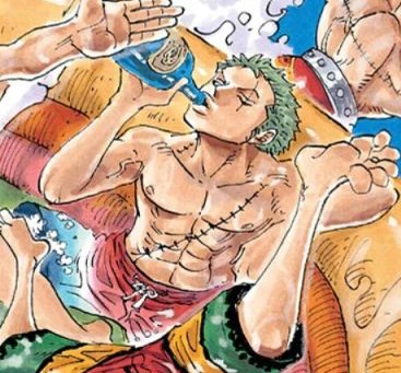 Chapter 790 I Hope Nobody S Forgotten Zoro In Lederhosen