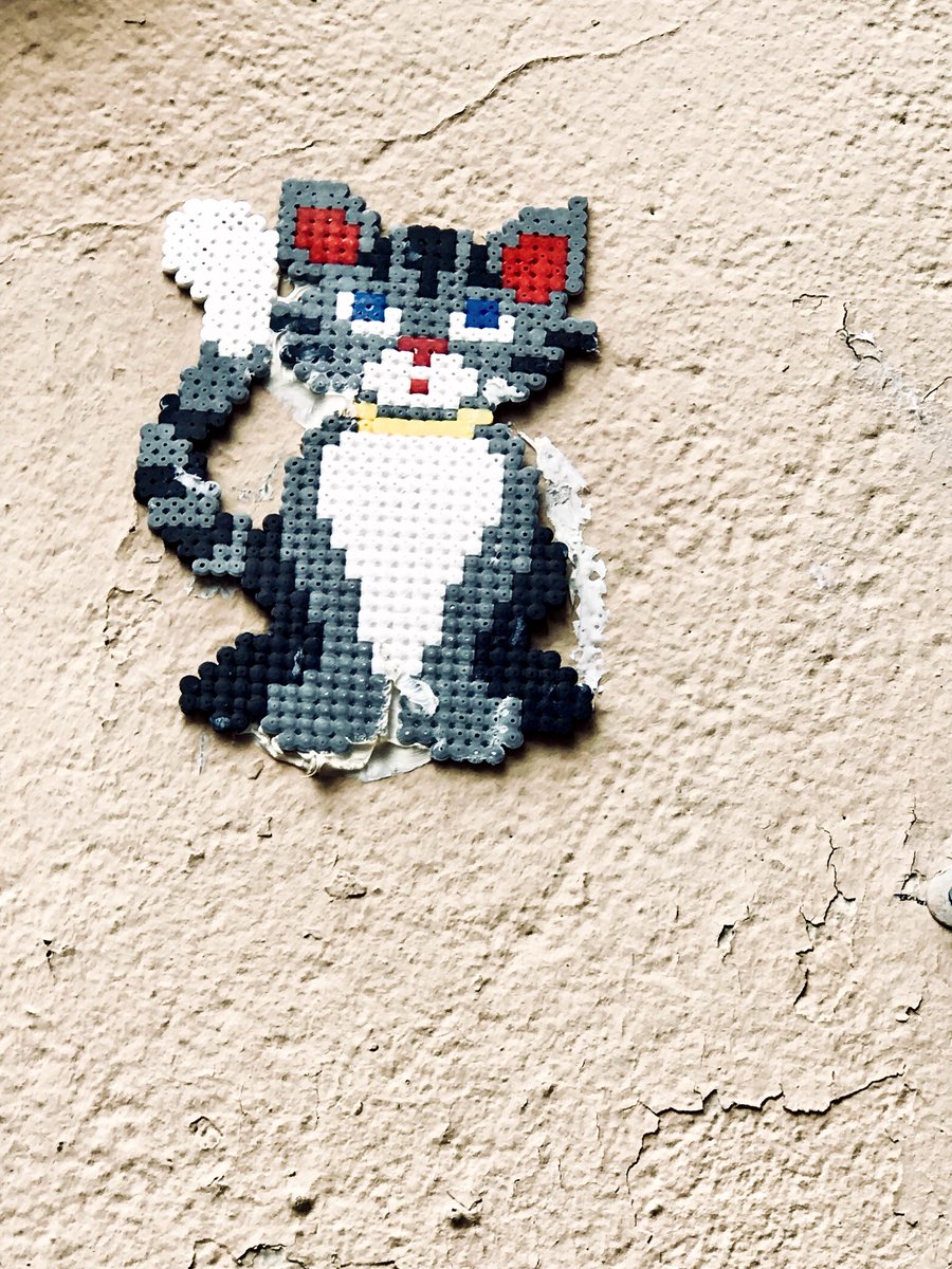 Marie Agnes Gaillard Cat Chat Streetart Lyon Art Pixelart France Perles A Repasser Patafix Larueestaussialamenageredemoinsdecinquanteans T Co Ehiyjc74eq