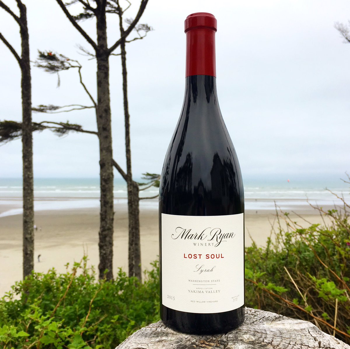 Lost Soul is coming back! The 2015 vintage was a perfect candidate for an extended barrel aging program, and #LostSoul spent 30 months in 54% new, French 500L barrels. We're psyched at the results, and can't wait for you to try this #Syrah from Red Willow Vineyard, Yakima Valley.