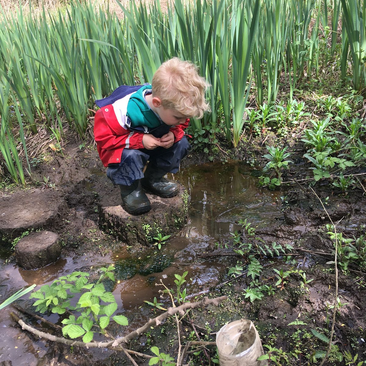 “Nobody is going to protect the natural world unless they understand it.” - Sir David Attenborough ❤️  #edchat #eytalking