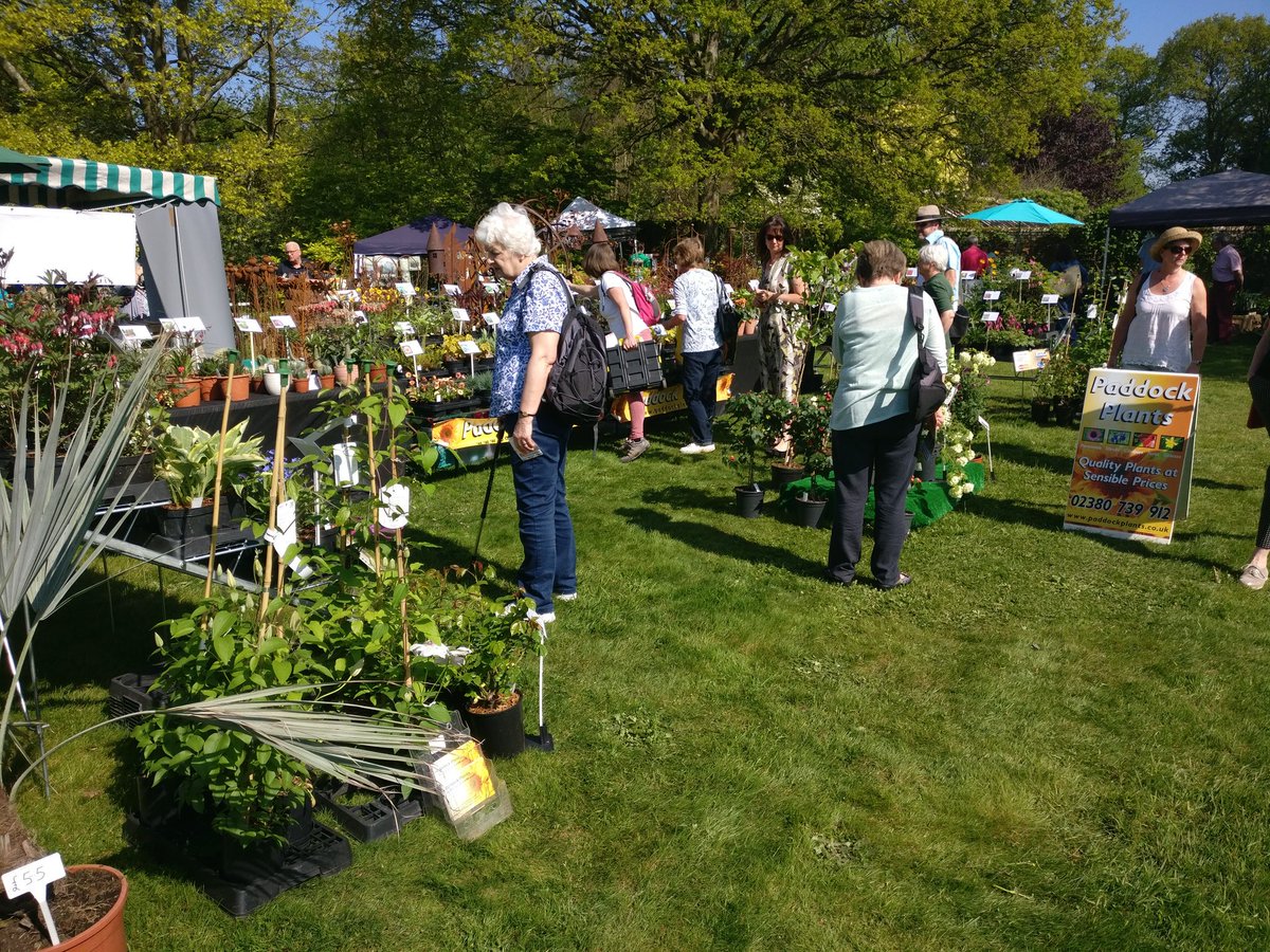 Andy McIndoe (AndyMcIndoe) Twitter