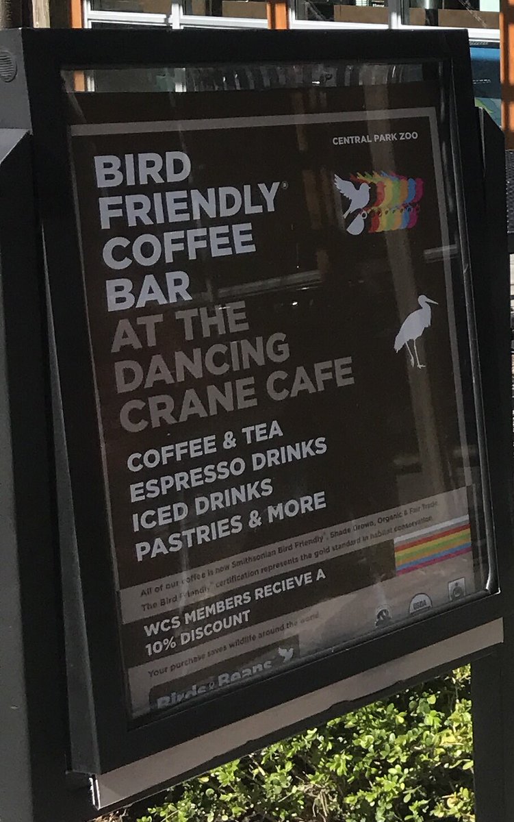 JaredAdamCole's tweet photo. Seen prothonotary, Kentucky, and hooded warblers today at Central Park but bird friendly coffee is the best find #birdcp @BirdsBeans @SMBC https://t.co/7kZMJSW5aJ