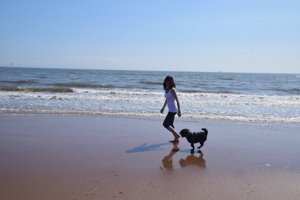 Super sunny day called for some mad moments at the beach. So nice to feel the sun. #beachday #madmoments #Montrose #eastcoastbeaches #livelife #bluesky #fundays #schnauzer #dogsofttwitter #jumping #seaside #scotland