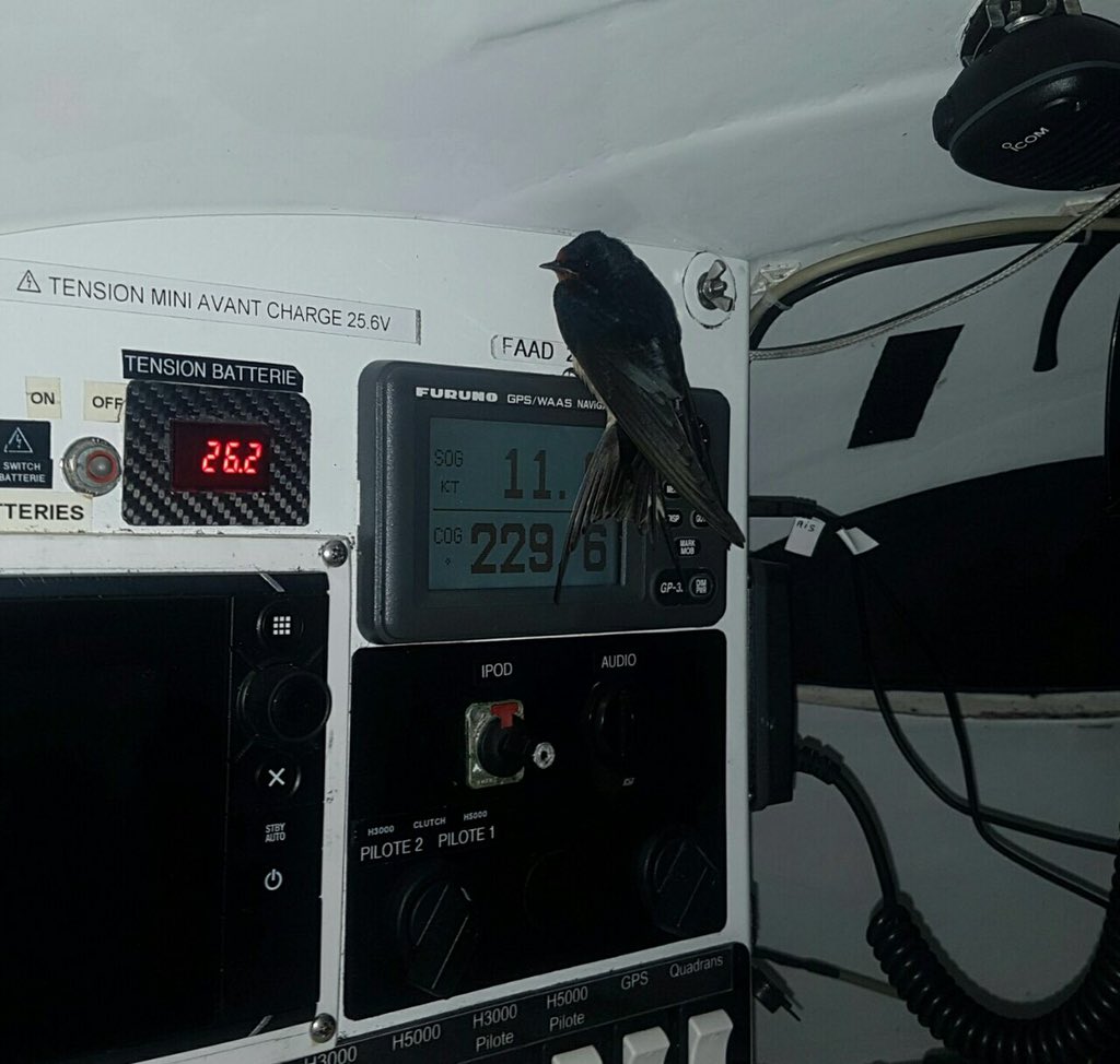 IDEC SPORT tweet media