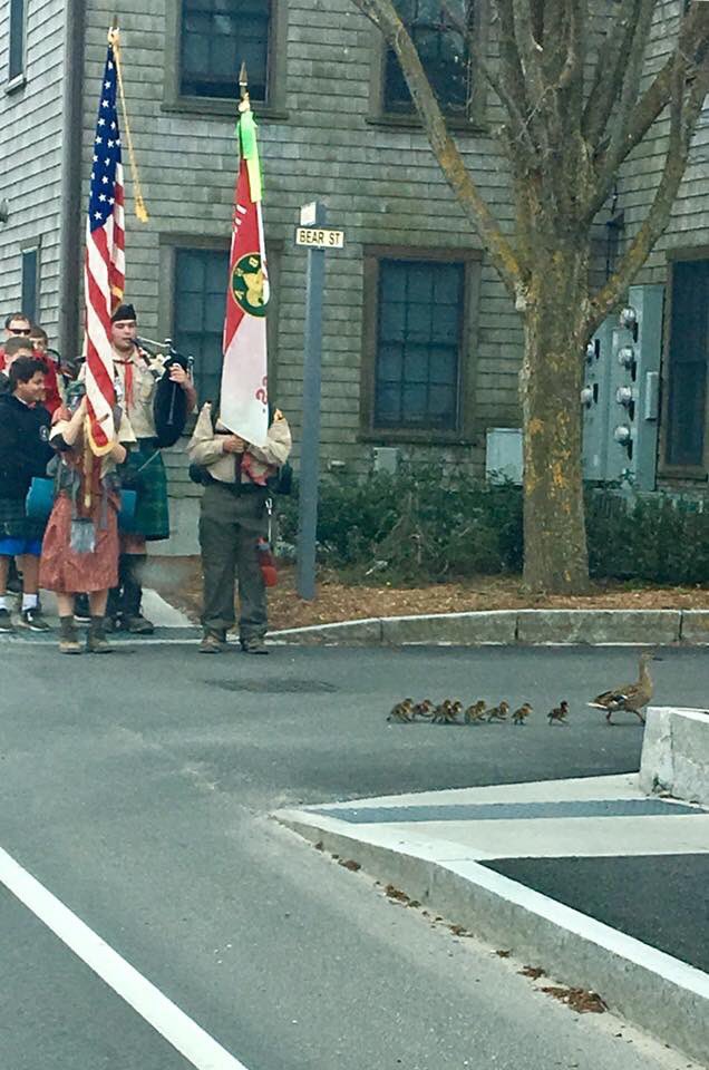 ackfoxy's tweet image. Cape and Islands Boy Scouts stop for mama duck and ducklings on their march back to the ferry after a weekend of #highlandgames #Trustworthy #loyal #helpful #friendly #courteous #kind #obedient #cheerful #thrifty #brave #clran #reverent  #BoyScouts #BSA @FoxNews @CNN @CBS @ABC