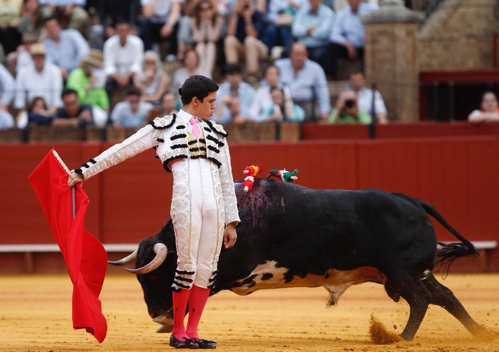 Sevilla 1ª novillada de abono en @maestranzapages Novillos de Rocío de la Cámara Cortijo de la Sierra para Antonio Catalán Toñete ovación y ovación, David @D_Salvador_ oreja y vuelta tras petición y El <a href="/adoureno/">Info El Adoureño</a> silencio/silencio <a href="/portaltaurino/">Portal Taurino</a>