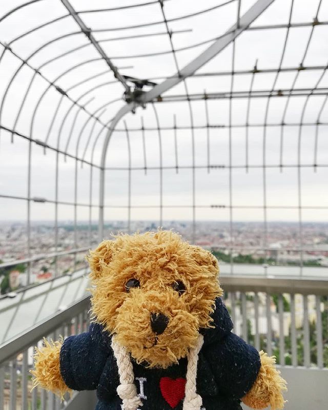 PlushFriendsCZ's tweet photo. Vídeňák on the top of the Funkturm 🗼🙂 #vídeňák #medved #medvidek #teddybear #teddy #bear #ted #plysak #plysaci #toy #toys #plushfriends #stuffedanimal #stuffedtoy #vylet #trip #funkturm #berlin #deutschland #germany #visitberlin #visitgermany #dnesce… https://t.co/ykrvzoYyBE https://t.co/a04Qp4rgmY