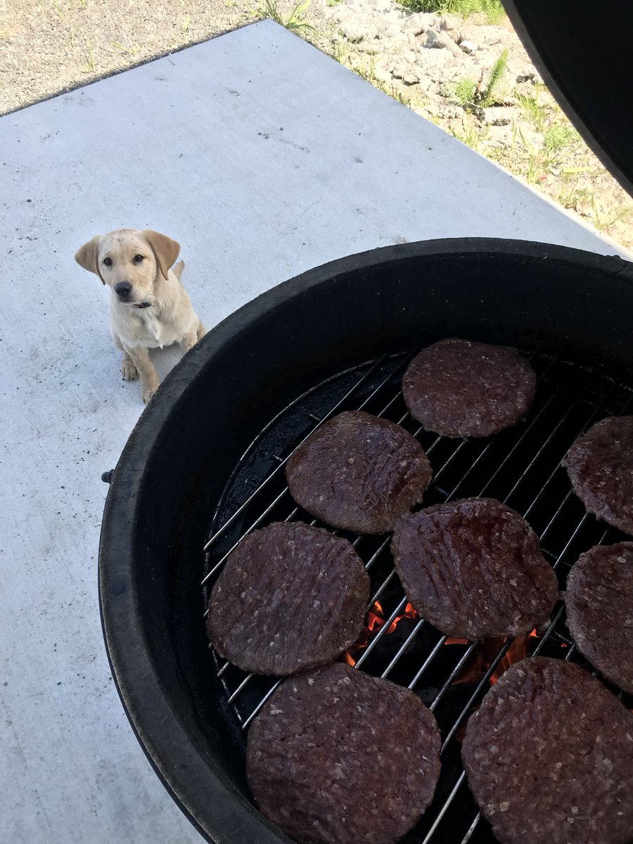 dfaber84's tweet photo. 1000 RTs and she gets a burger and a “good girl.” https://t.co/ON3dJiDHIm