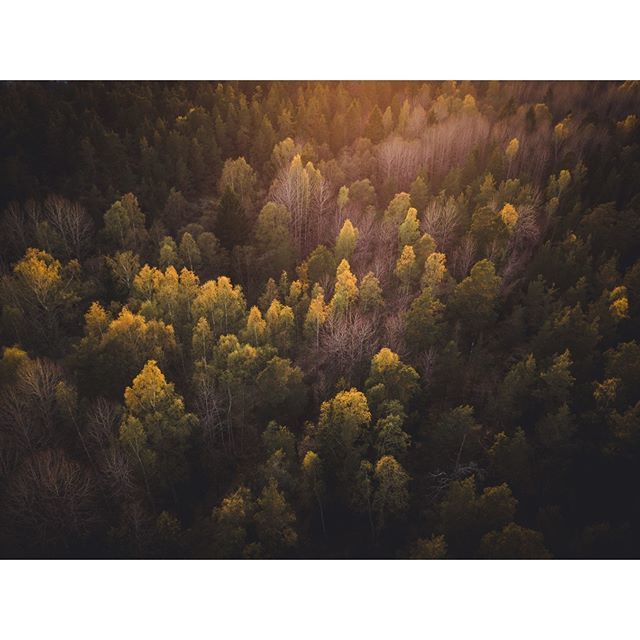 hjdse's tweet photo. Finally... •
• •
• #Dji #Mavic #primeshots #depthobsessed #exploreeverything #wanderlust #lifeofadventure #thecreatorclass #shoot2kill #exploreeverything #lifeofadventure #way2ill #visualsoflife #moodygrams #agameoftones #photographersofsweden #artofvisuals #liveauthent… https://t.co/ckF37xK0Df