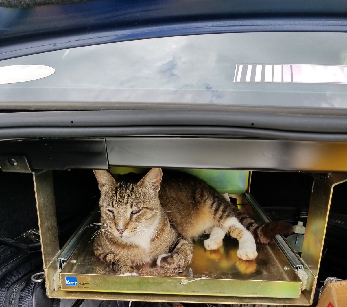 aperes2488's tweet photo. Wow! These police package cars come with a lot of cool and unusual equipment installed! 🚔
#chevy #impala #9c1 #9c3 #policepackage #cats #cstsoftwitter https://t.co/wn6KR6hDfZ
